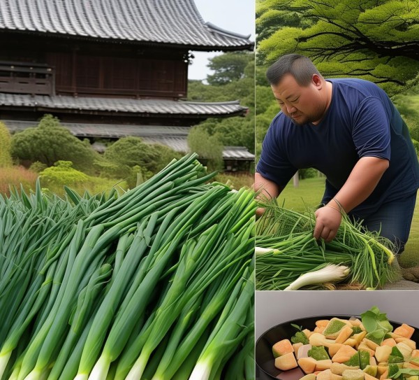 寺郎腰大葱，DB41/T 1682-2018 地理标志，地域美味中的传承与创新,寺郎腰大葱，DB41/T 1682-2018 地理标志，地域美味中的传承与创新,2,创新,地理标志,第1张