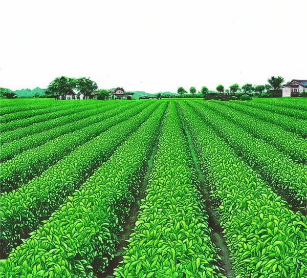 隆回金银花产业在DB43/214-2004标准下的发展策略研究,隆回金银花产业在DB43/214-2004标准下的发展策略研究,2,技术规程,创新,第1张