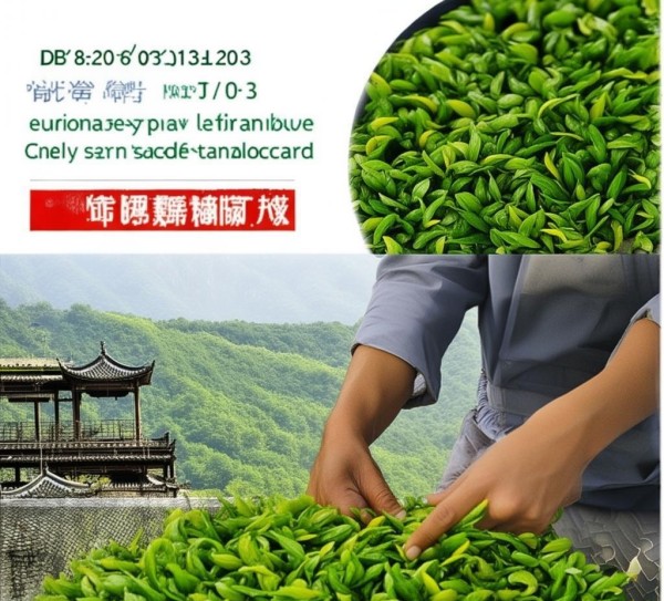 融合传统与现代科技，DB5206/T 163-2023 梵净山卷曲形绿茶加工技术规程,融合传统与现代科技，DB5206/T 163-2023 梵净山卷曲形绿茶加工技术规程,2,技术规程,创新,第1张