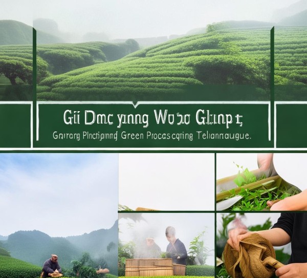 贵定云雾贡茶绿茶加工技术规程解析与应用指南,贵定云雾贡茶绿茶加工技术规程解析与应用指南,2,技术规程,2023,第1张