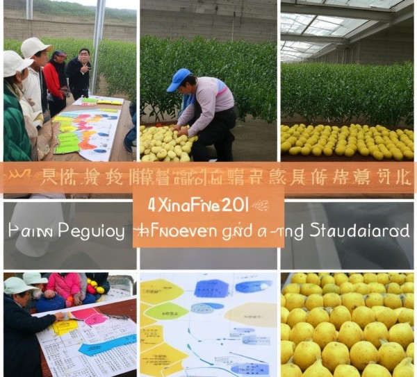 2023版兴安盟沙果采收与分级标准解析与应用,2023版兴安盟沙果采收与分级标准解析与应用,2,标准解读,2023,第1张