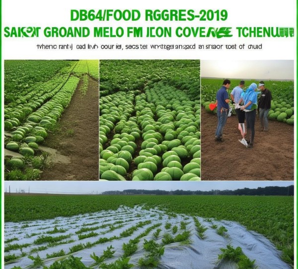 DB64/T 564-2019 绿色食品压砂地西瓜地膜覆盖技术规程解读及实践应用,DB64/T 564-2019 绿色食品压砂地西瓜地膜覆盖技术规程解读及实践应用,2,技术规程,现代化,第1张