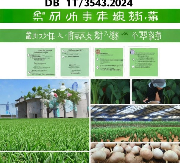 DB15/T 3543-2024标准下大蒜病虫害绿色防控技术解析与应用,DB15/T 3543-2024标准下大蒜病虫害绿色防控技术解析与应用,2,技术规程,现代化,第1张