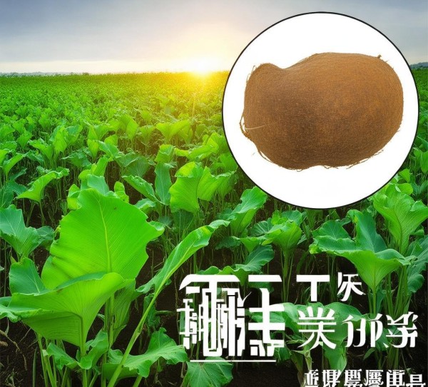 福鼎槟榔芋，DB35/T 1082-2010标准下的产业价值与鲜母芋特色解析,福鼎槟榔芋，DB35/T 1082-2010标准下的产业价值与鲜母芋特色解析,2,食品安全,食品安全标准,第1张