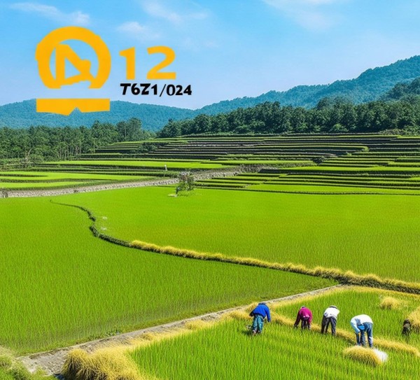 DB12/T 971-2024标准引领，小站稻精白米的品质与文化传承与创新,DB12/T 971-2024标准引领，小站稻精白米的品质与文化传承与创新,2,创新,消费者权益,第1张