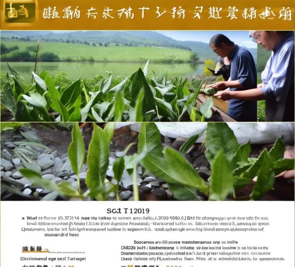 天目湖白茶质量分级标准DB32/T 1264-2017深度解读及实战应用,天目湖白茶质量分级标准DB32/T 1264-2017深度解读及实战应用,2,标准解读,消费者权益,第1张