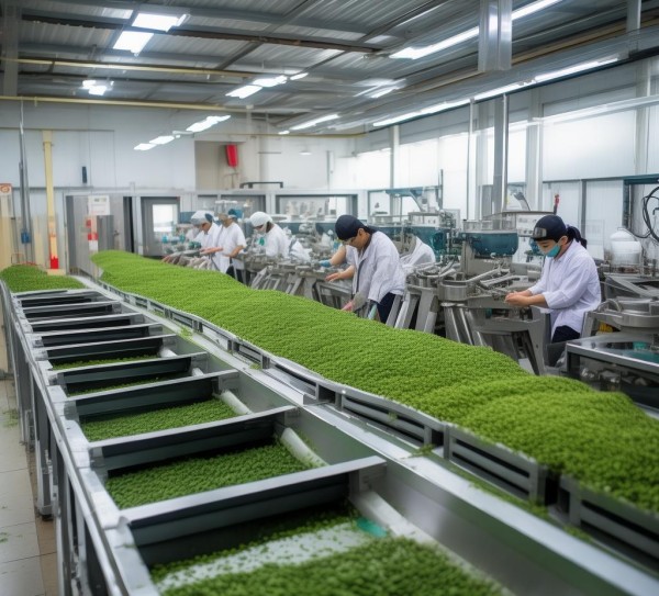 茶叶加工机械安全规范解读与应用指南,茶叶加工机械安全规范解读与应用指南,2,操作规程,安全规范,第1张