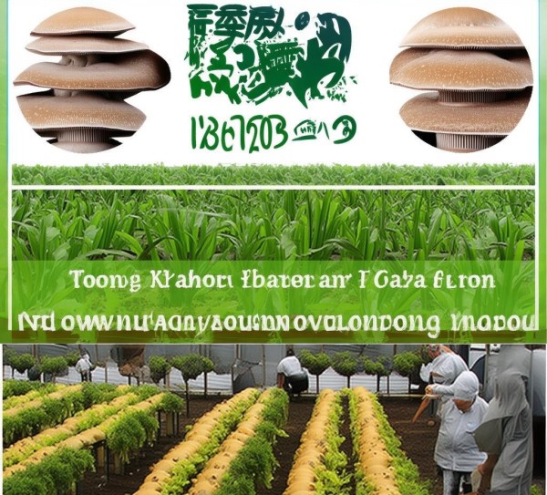 DB51/T 1028-2010 长根菇种植规程，推动长根菇产业绿色可持续发展,DB51/T 1028-2010 长根菇种植规程，推动长根菇产业绿色可持续发展,2,技术规程,现代化,第1张