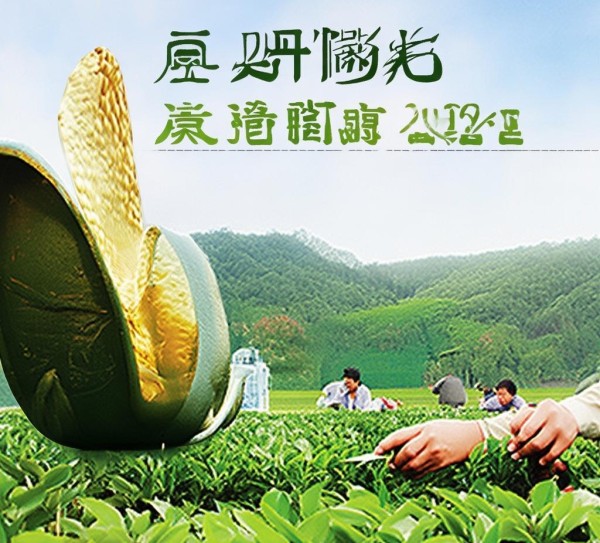 伍家台贡茶，DB42/T 391-2024标准下的传承与创新探索,伍家台贡茶，DB42/T 391-2024标准下的传承与创新探索,2,创新,产业健康发展,第1张