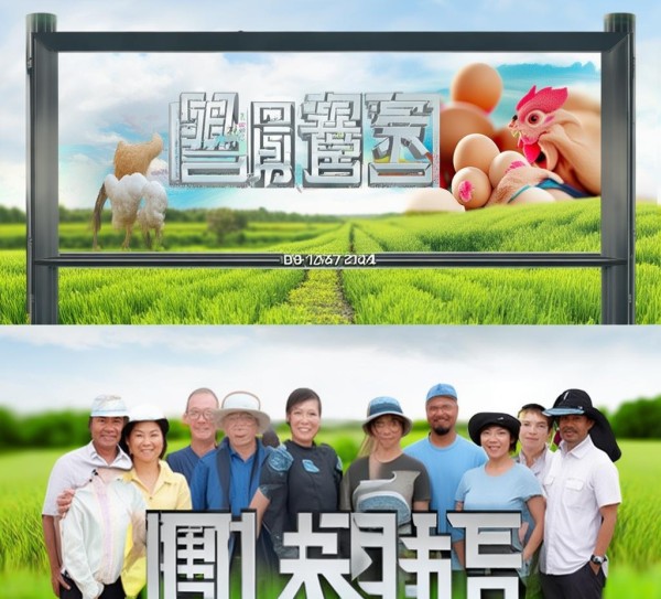 DB14/T 1667-2024，蛋鸡兽药保健新规程，推动行业迈向健康养殖新时代,DB14/T 1667-2024，蛋鸡兽药保健新规程，推动行业迈向健康养殖新时代,2,技术规程,食品安全,第1张
