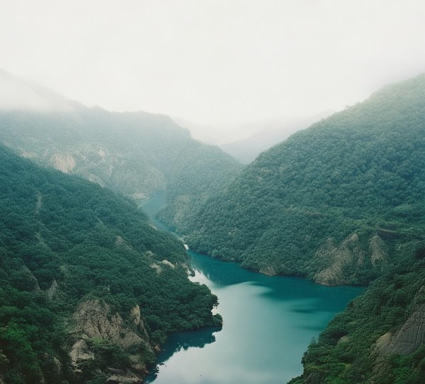 绿色引领，丘岗山地穇子栽培新标准助力产业升级,绿色引领，丘岗山地穇子栽培新标准助力产业升级,2,技术规程,现代化,第1张