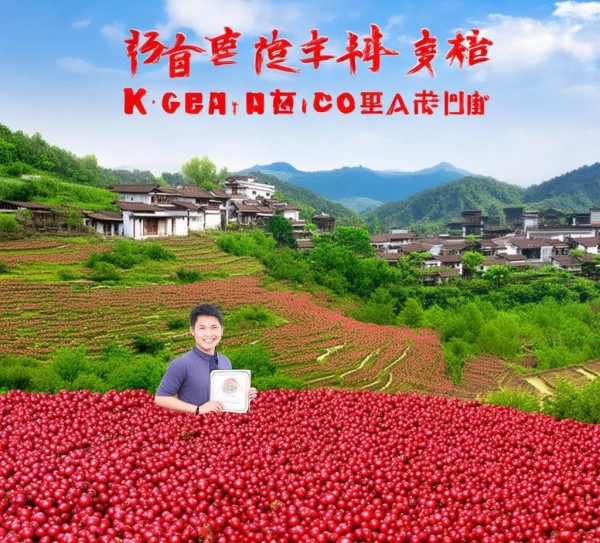 岢岚红芸豆地理标志产品认证，品牌新篇章的传承与创新,岢岚红芸豆地理标志产品认证，品牌新篇章的传承与创新,2,创新,地理标志,第1张